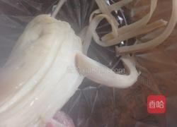 凉拌手撕杏鲍菇的做法图解3