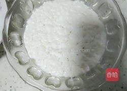 雪莲菌酸奶的做法图解3