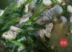 煮鱼的做法图解13