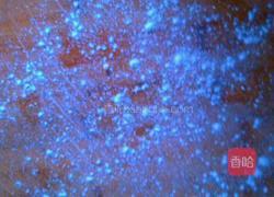 面食制作的做法图解3