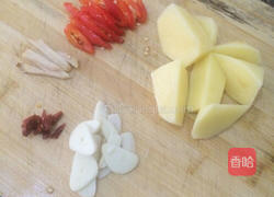 土豆烧鸭块的做法图解3