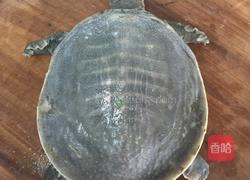 野生甲鱼炖鞕花的做法图解3