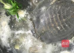 野生甲鱼炖鞕花的做法图解4