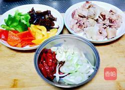 麻辣鸡块的做法图解2