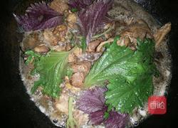 紫苏啤酒烧鸭的做法图解5