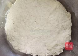 巧克力炼乳吐司（中种）的做法图解1