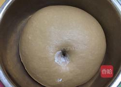 巧克力炼乳吐司(中种)的做法图解6