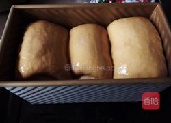 巧克力炼乳吐司（中种）的做法图解13