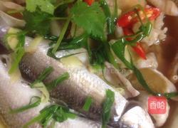 秘制梭子鱼蒸鱼泡的做法图解13