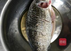 鲫鱼豆腐汤的做法图解2