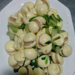 蛋菇