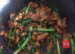 爆炒肉片的做法图解6