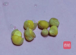 水培豌豆苗的做法图解2