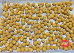 水培豌豆苗的做法图解3