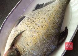 红烧鳊鱼的做法图解4