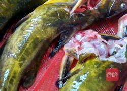 汪丫鱼枸杞豆腐汤的做法图解1