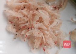 苏式小馄饨的做法图解4