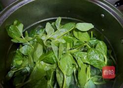 碗豆尖鸡汤的做法图解3