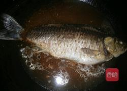 酱焖鲫鱼的做法图解6