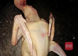 阿胶鸽子的做法图解1