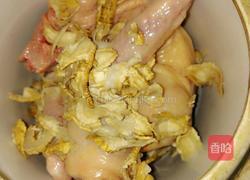 阿胶鸽子的做法图解4