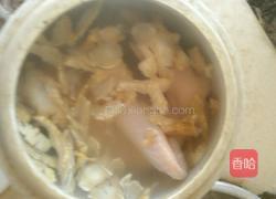 阿胶鸽子的做法图解5