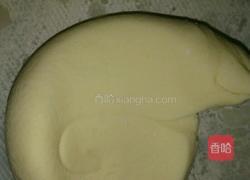 胡萝卜餐包（棕心紫薯、香葱鱼板）的做法图解7