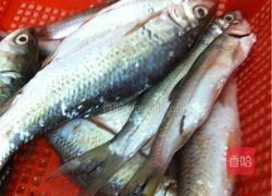 蒸豆豉鱼的做法图解1