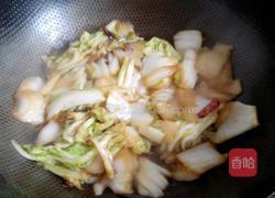 麻辣白菜的做法图解5