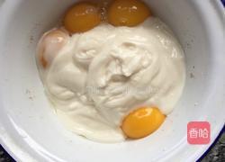慕斯利安酸奶蛋糕!的做法图解3