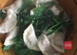 韭菜鸡蛋饺子的做法图解11