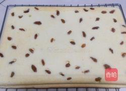 葡萄干果酱蛋糕卷的做法图解16