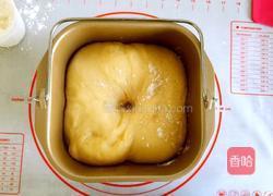 椰蓉辫子面包的做法图解5