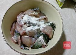 水煮鱼（微辣）的做法图解8