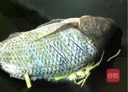 红烧罗非鱼的做法图解5
