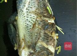 红烧罗非鱼的做法图解6