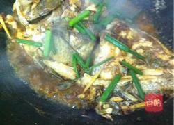 红烧罗非鱼的做法图解10