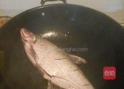 武昌鱼烧萝卜丝的做法图解2