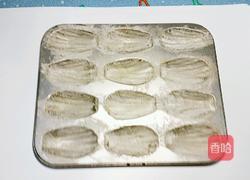 瑪德蓮貝殼蛋糕的做法图解8