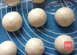 椰蓉小餐包的做法图解6