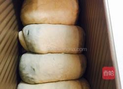 抹茶奶香吐司的做法图解10