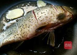 羊汤鲫鱼萝卜丝的做法图解5