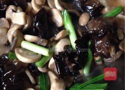 素炒口蘑的做法图解8