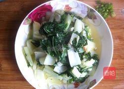 小白菜炒虾米的做法图解8