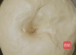 火腿肠花朵面包的做法图解7