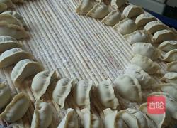 孜然羊肉饺子的做法图解10