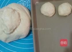 椰蓉蜂蜜小餐包的做法图解6