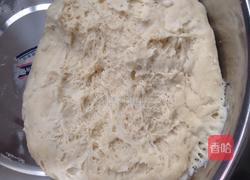 胡萝卜肉包子的做法图解6