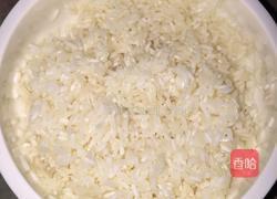 刺毛团肉圆的做法图解1