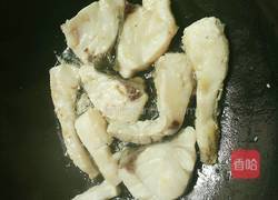 焖鱼块的做法图解4